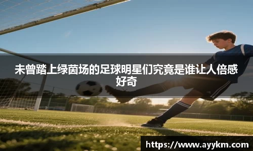 未曾踏上绿茵场的足球明星们究竟是谁让人倍感好奇