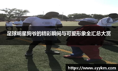 足球明星狗爷的精彩瞬间与可爱形象全汇总大赏